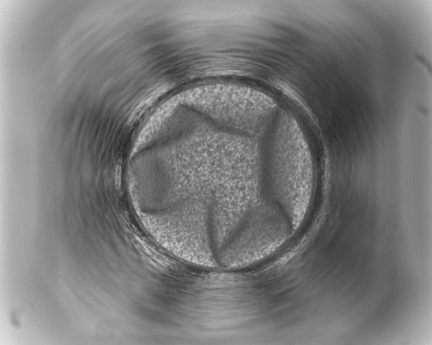 X0000100210777200806271703