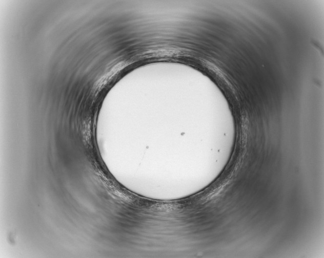 X0000100210778200806271703