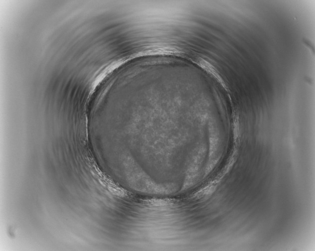 X0000100210781200806271703