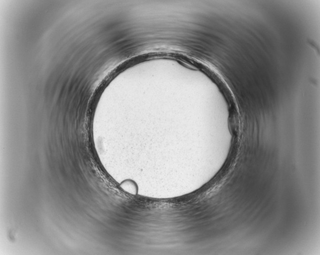 X0000100210783200806271703