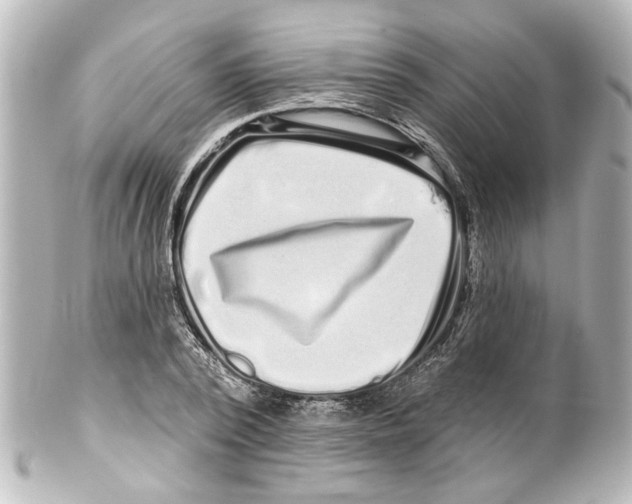 X0000100210784200806271703