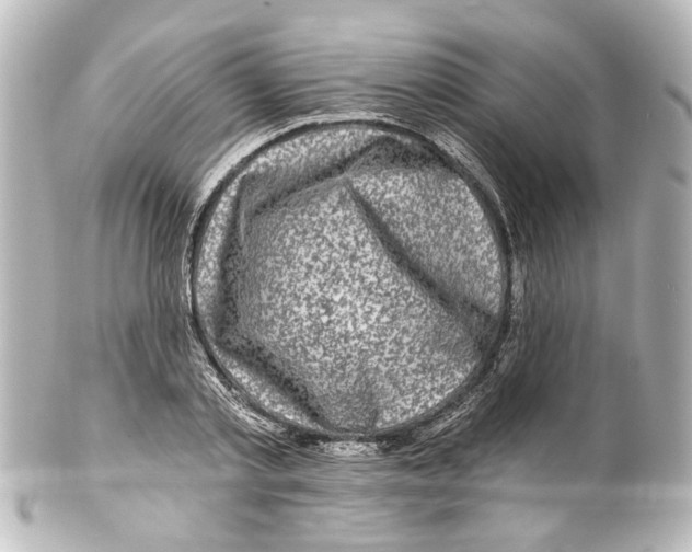X0000100210789200806271703