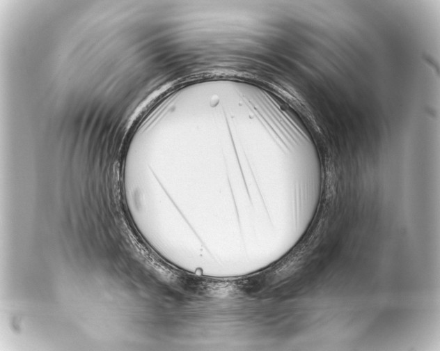 X0000100210798200806271703