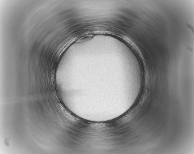 X0000100210801200806271703