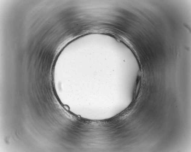 X0000100210803200806271703