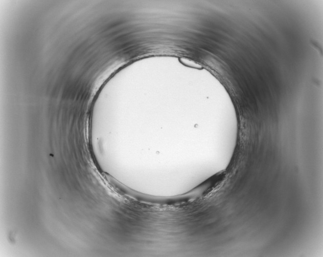 X0000100210804200806271703