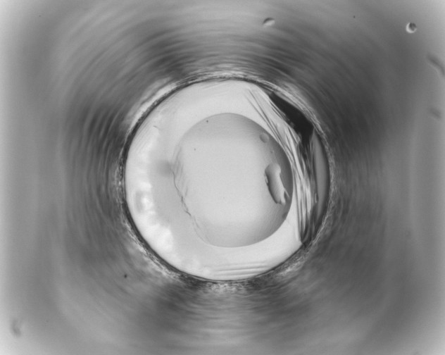 X0000100210806200806271703