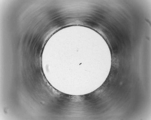 X0000100210807200806271703