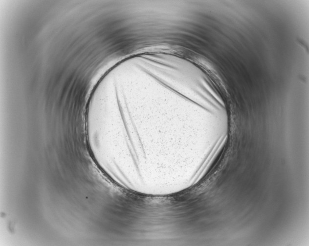 X0000100210808200806271703