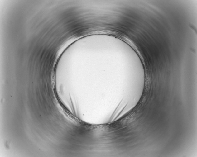 X0000100210811200806271703