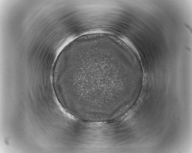 X0000100210813200806271703