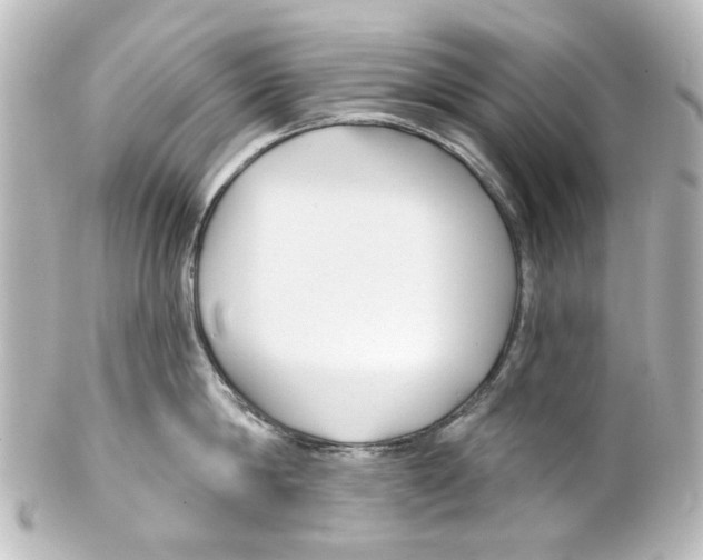 X0000100210814200806271703