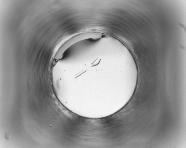 X0000100210816200806271703