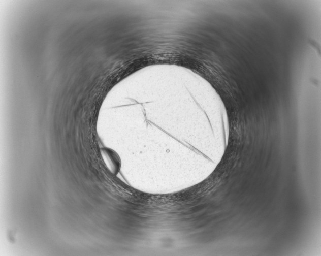 X0000100210817200806271702