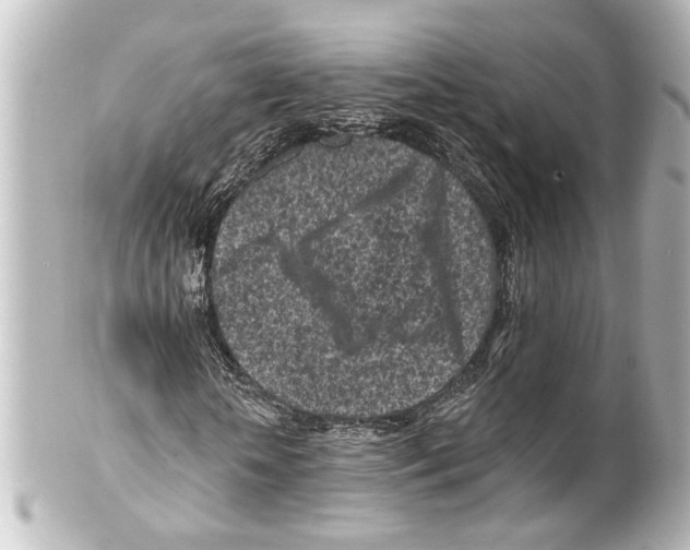 X0000100210818200806271702