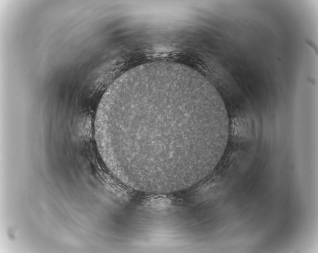 X0000100210820200806271702