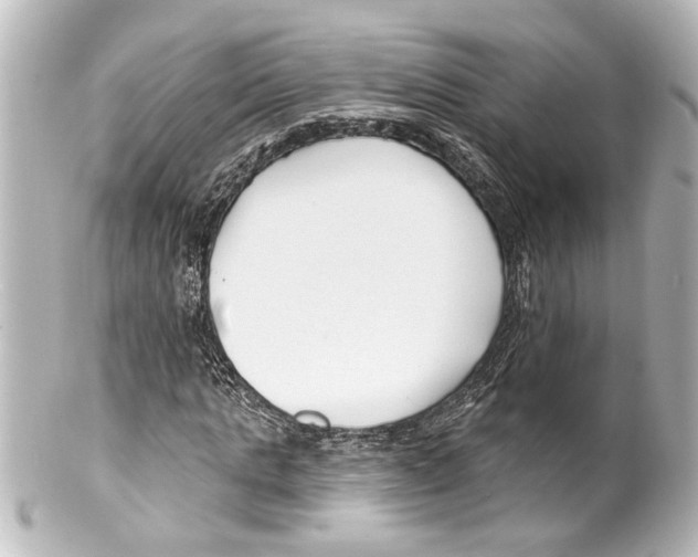 X0000100210821200806271702