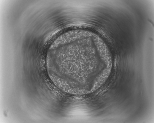 X0000100210822200806271702
