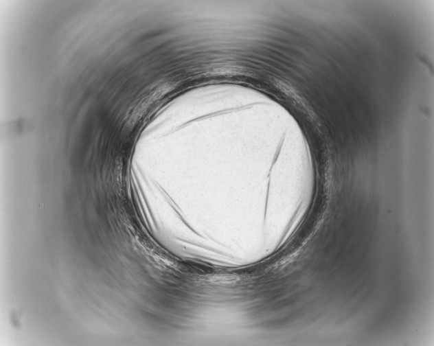 X0000100210825200806271702