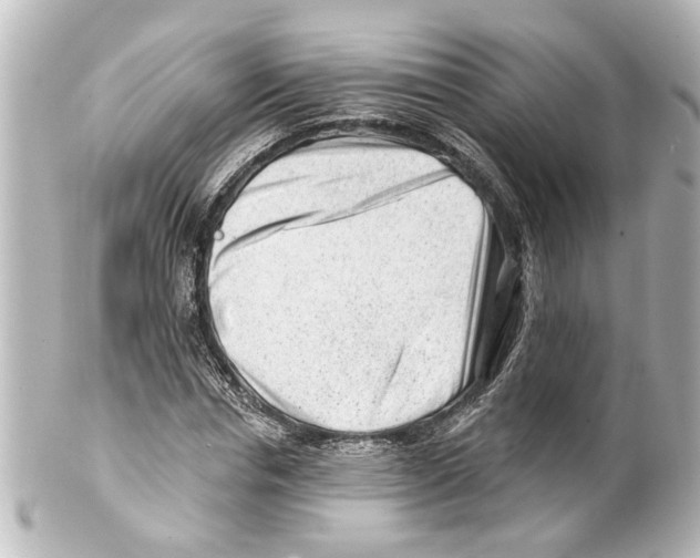 X0000100210826200806271702
