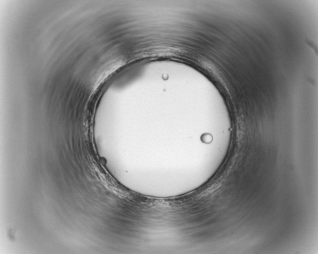 X0000100210827200806271702