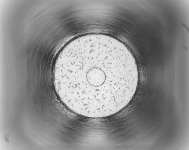 X0000100210828200806271702
