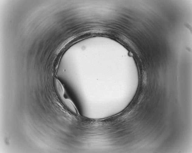 X0000100210829200806271702