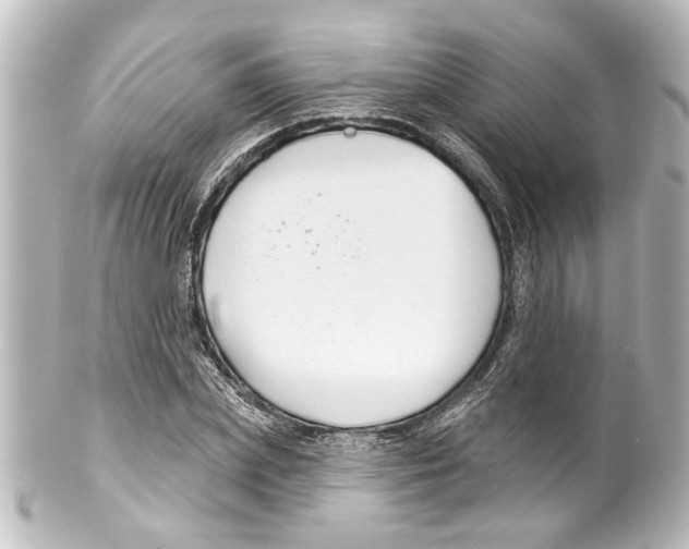 X0000100210831200806271702
