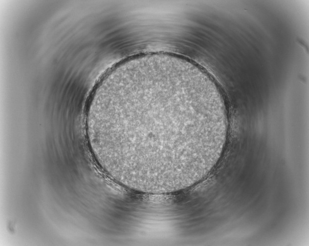 X0000100210832200806271702