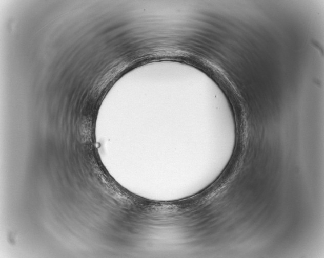 X0000100210833200806271702