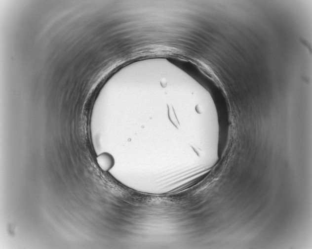 X0000100210835200806271702