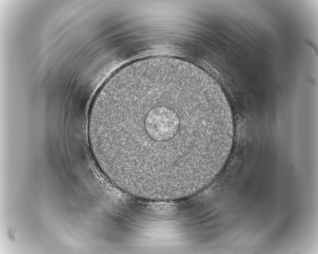 X0000100210836200806271702