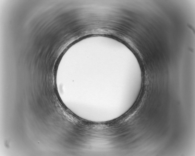 X0000100210837200806271702
