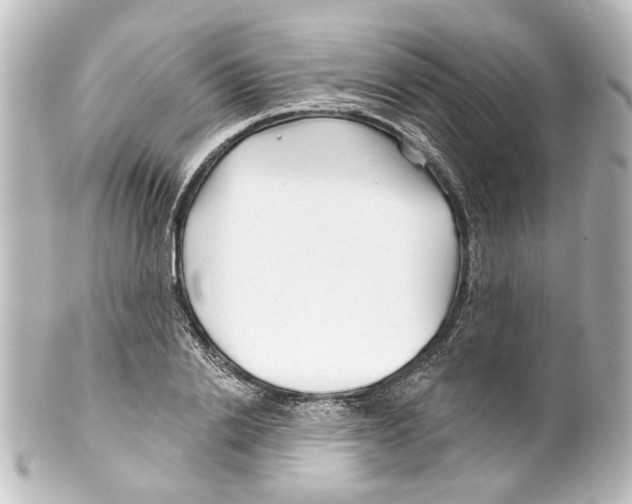 X0000100210838200806271702