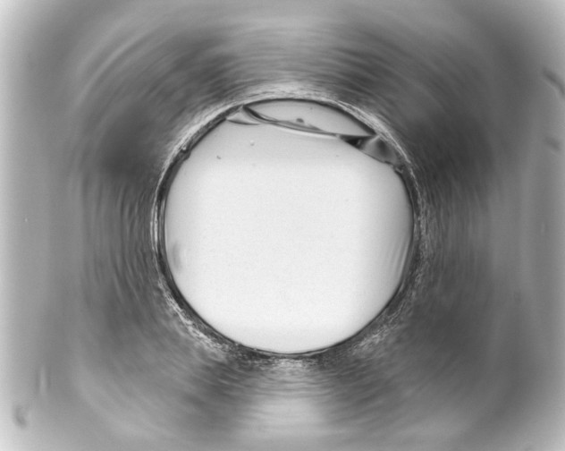 X0000100210839200806271702