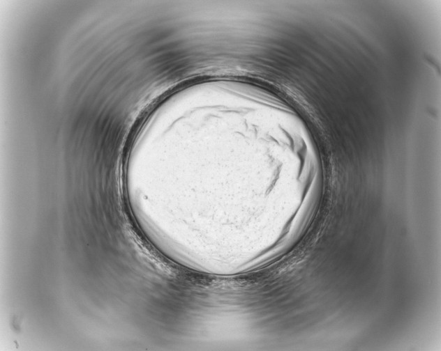 X0000100210840200806271702