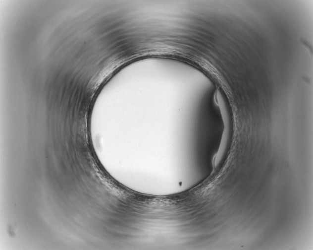 X0000100210842200806271702