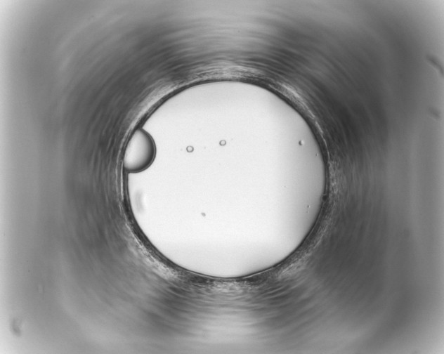 X0000100210843200806271702
