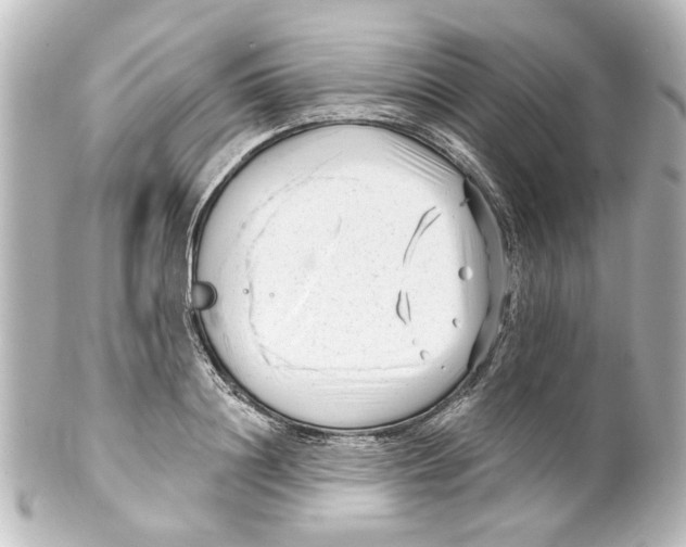 X0000100210844200806271702