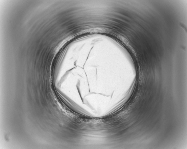 X0000100210845200806271702