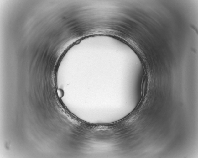 X0000100210846200806271702