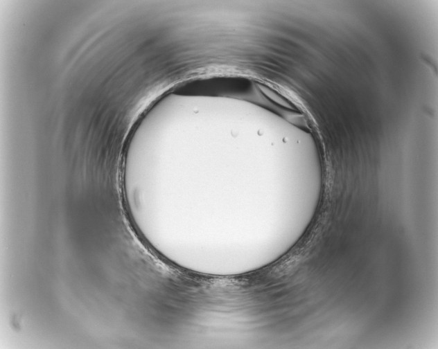 X0000100210847200806271702