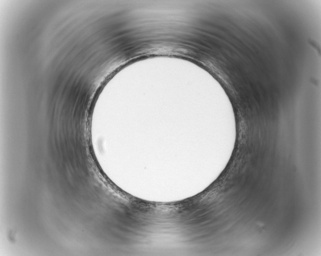 X0000100210848200806271702