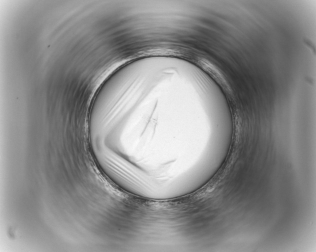 X0000100210852200806271702