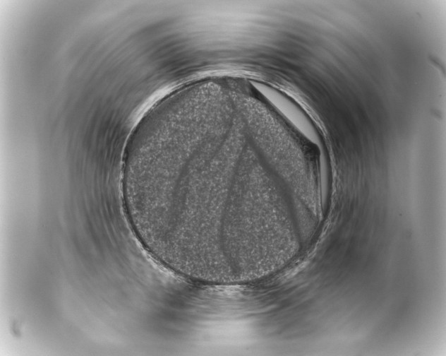 X0000100210853200806271702