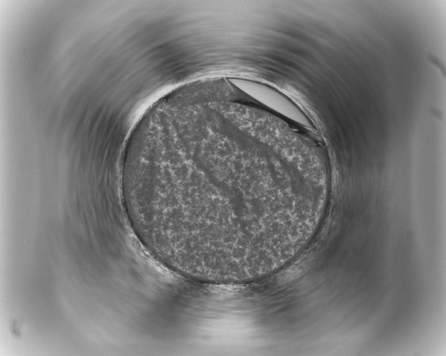 X0000100210854200806271702