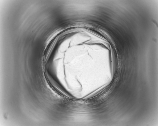 X0000100210855200806271702