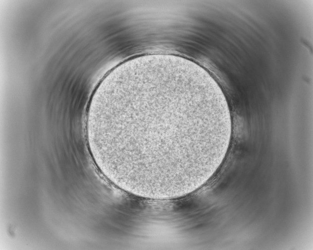 X0000100210856200806271702
