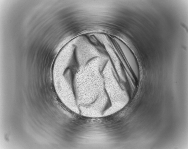 X0000100210858200806271702