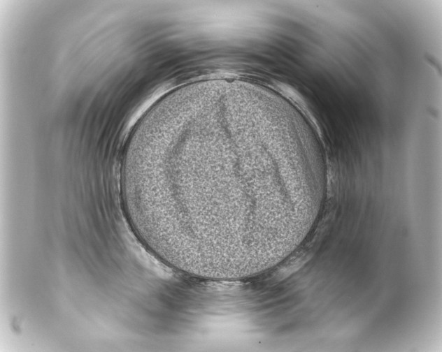 X0000100210859200806271703